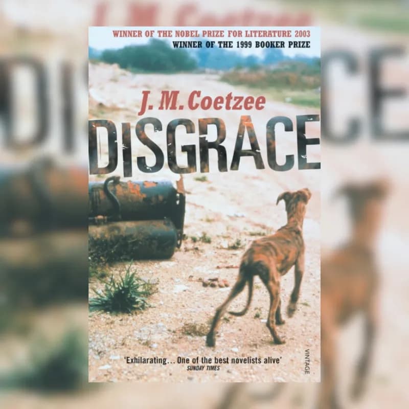 Disgrace