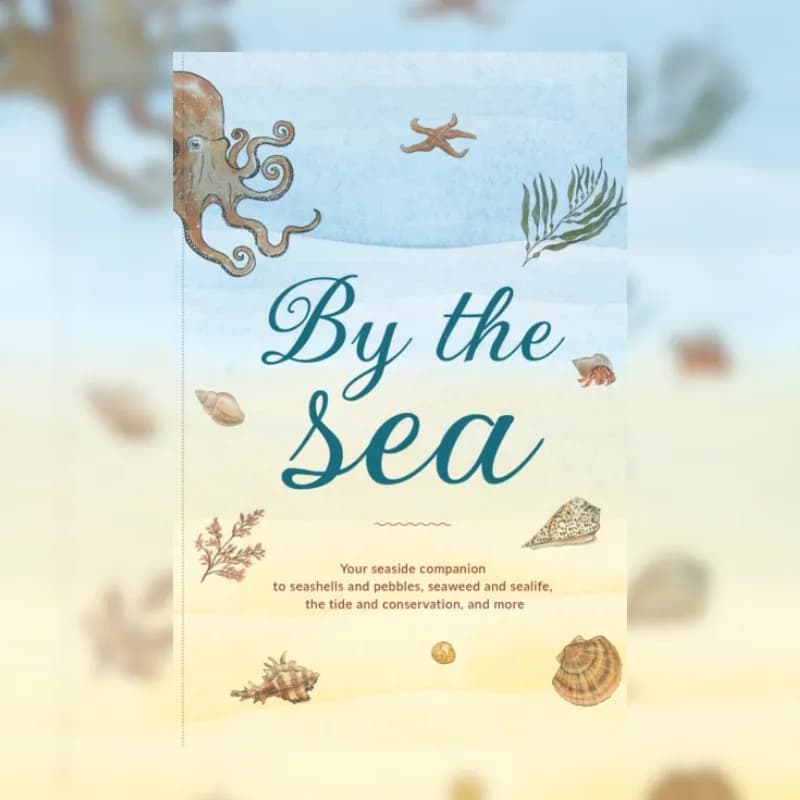 By the Sea