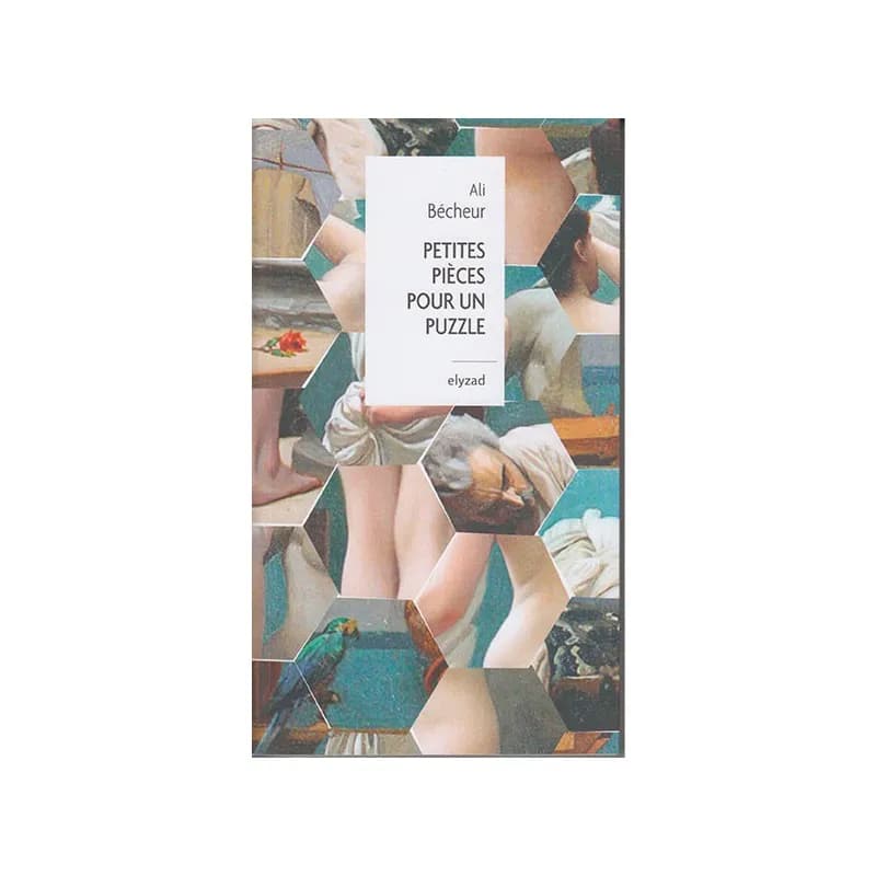 Petites pièces pour un puzzle
