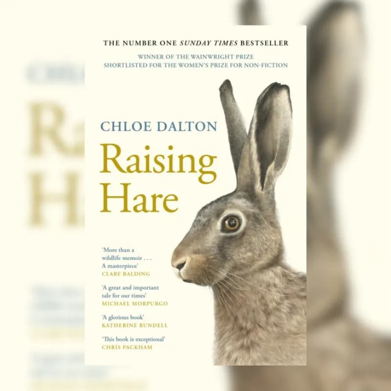 Raising Hare
