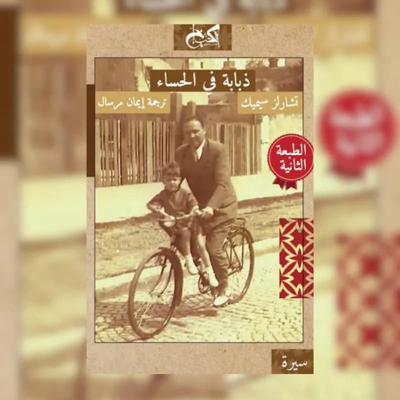 ذبابة في الحساء
