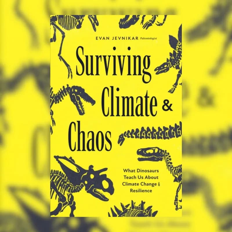 Surviving Climate and Chaos